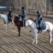 Children on horseback in the paddock