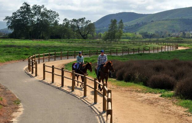 What Is The Best Travel Fence For Horses?