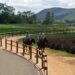 People on horses on Walking trail