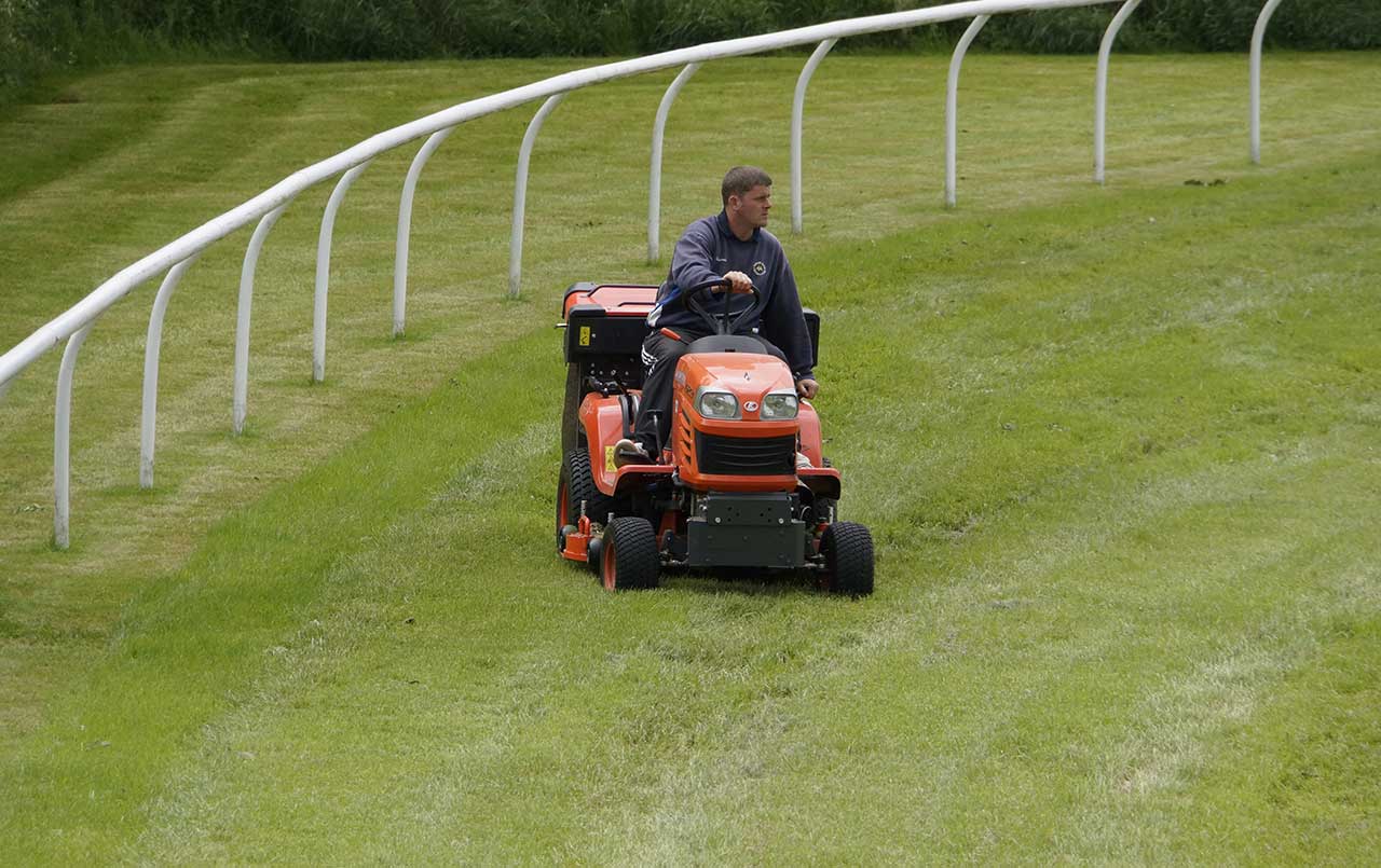 When To Clean And Clear Your Pasture