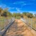 Walkway with metal railings and view deck at Sweetwater Wetlands- Tucson, Arizona. Trail with metal barrier in the middle of wild plants and trees against the blue sky