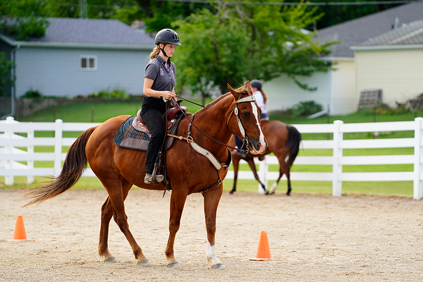 Seven Best Horse Arena Footing Options