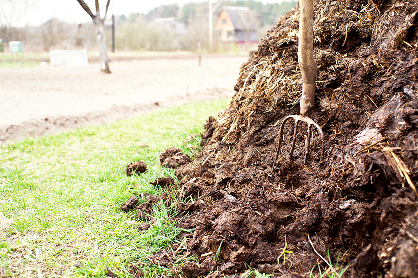 Seven Horse Manure Storage Ideas To Keep Your Arena Clean