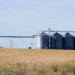 Silos and grain pile on ground