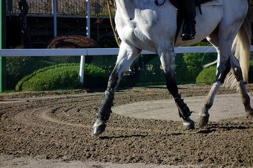 Horse Arena Footing: FAQ And Answers